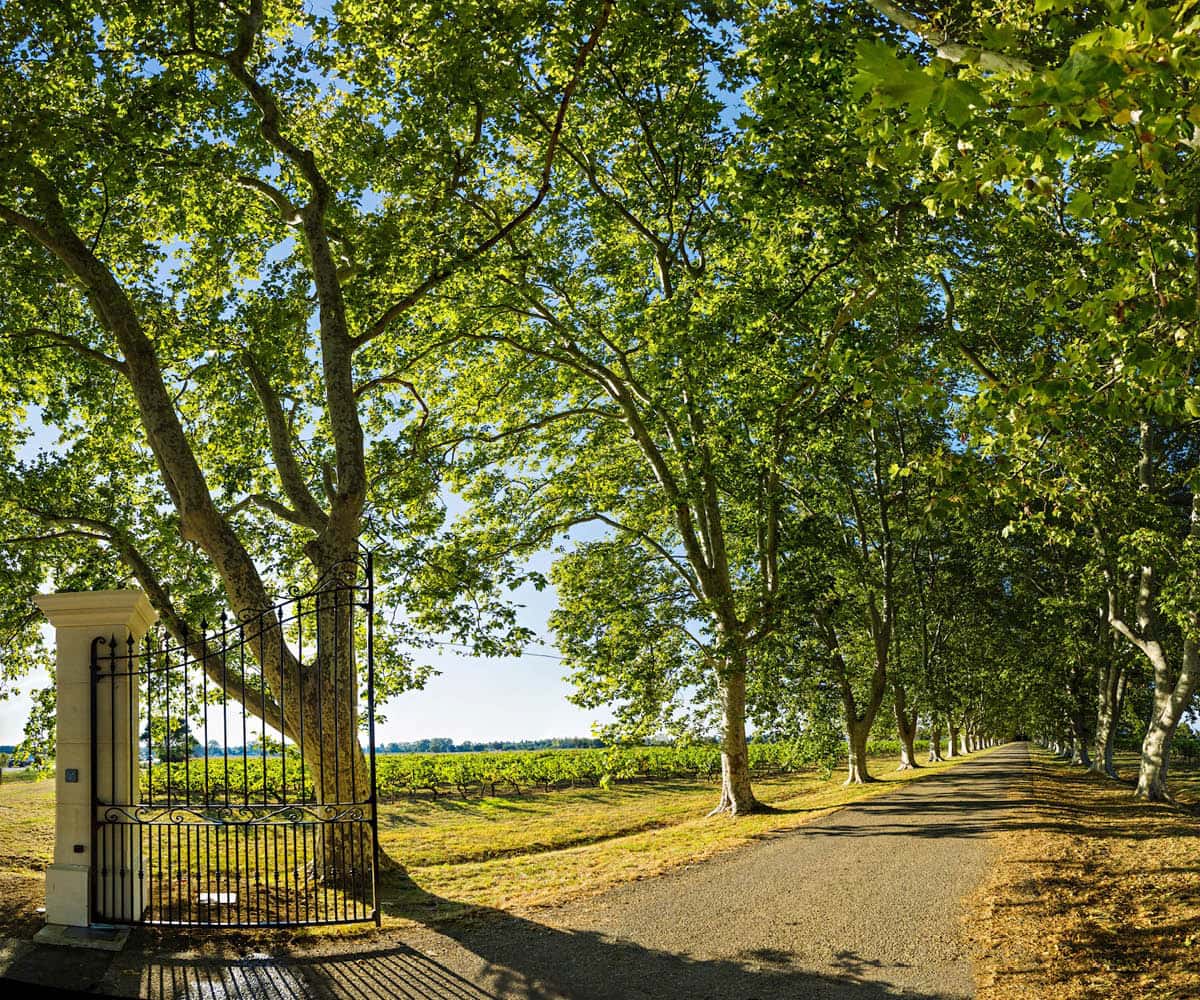 Beau Domaine by Brad Pitt & Famille Perrin